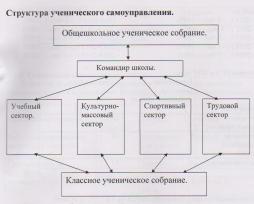 Структура ученического самоуправления